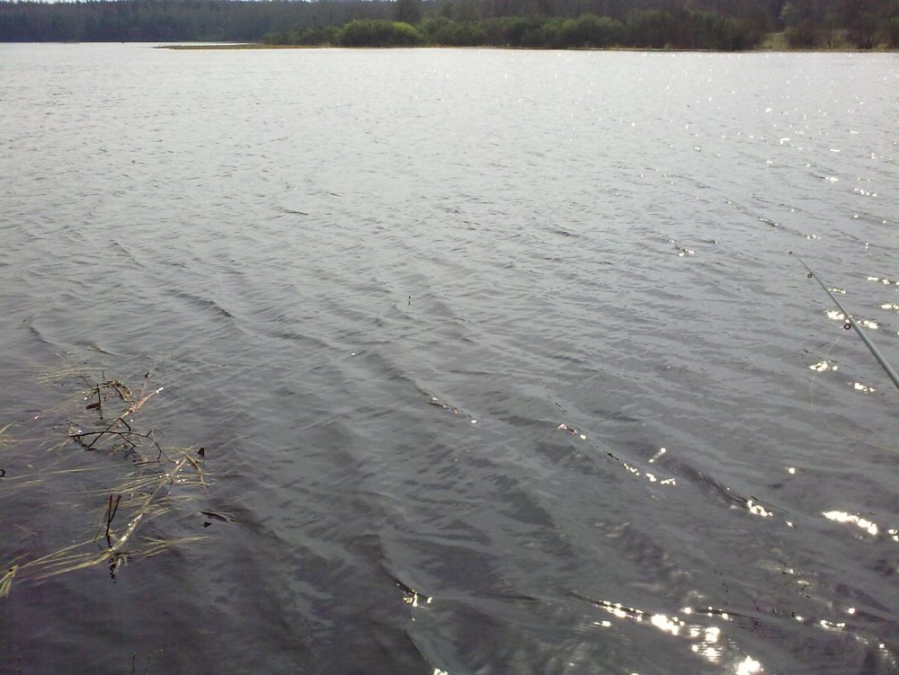 01052010258.thumb.jpg.61768f233daf3c62f88040423f2bdda1.jpg