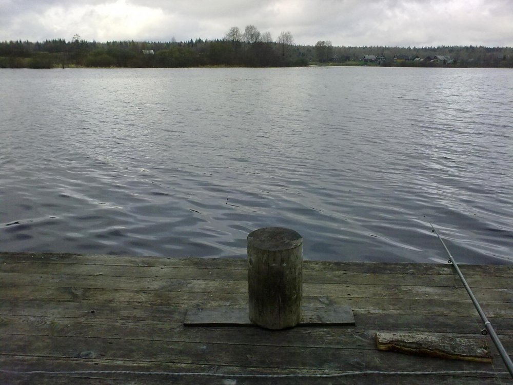02052010260.thumb.jpg.cd93ecd5cc097bdf66beeea853ddb33d.jpg