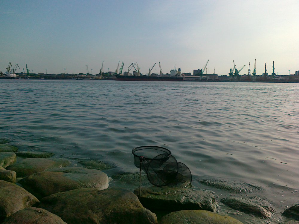 04072012035.thumb.jpg.f247ed0a897a5567134a88d1e6ba1bef.jpg