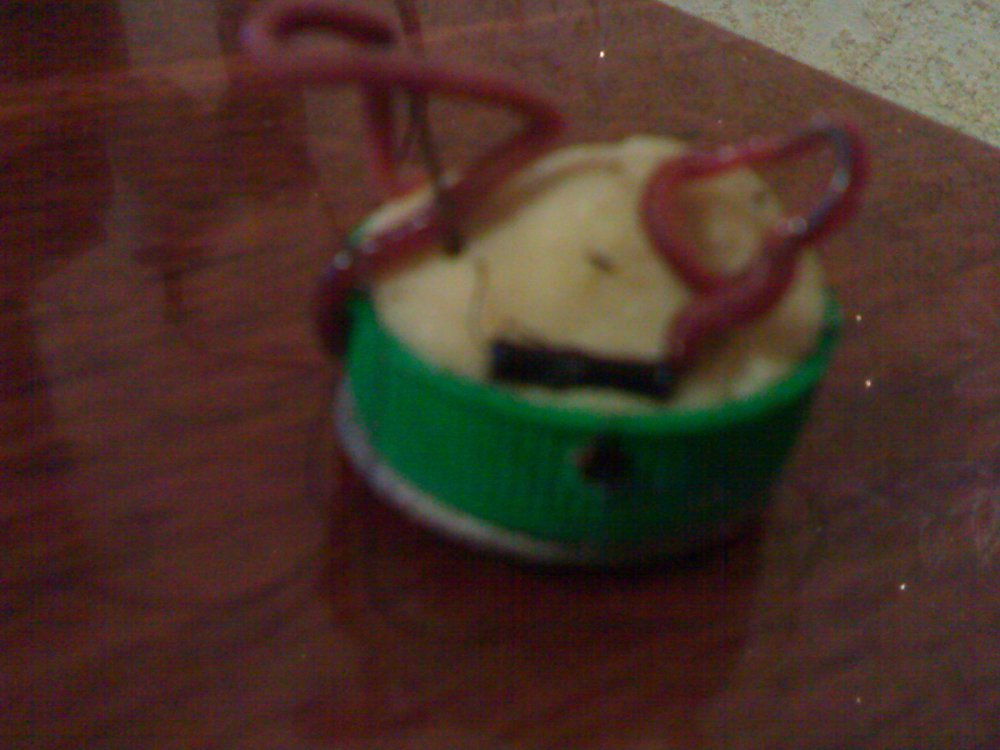 05052010344.thumb.jpg.627ab9e842184b7900a56a8b0f1614f2.jpg