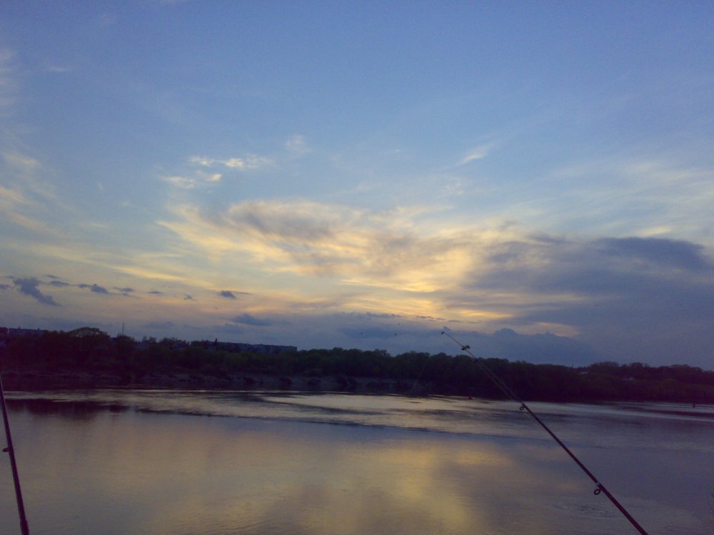 05052011053.thumb.jpg.d8f6ec82ae6d1fae6531a073c2f79c4f.jpg