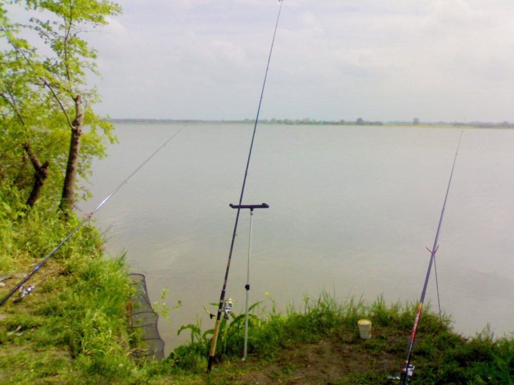 080520111015.thumb.jpg.3bc92f688d07f55f625cbdb542afc3c9.jpg