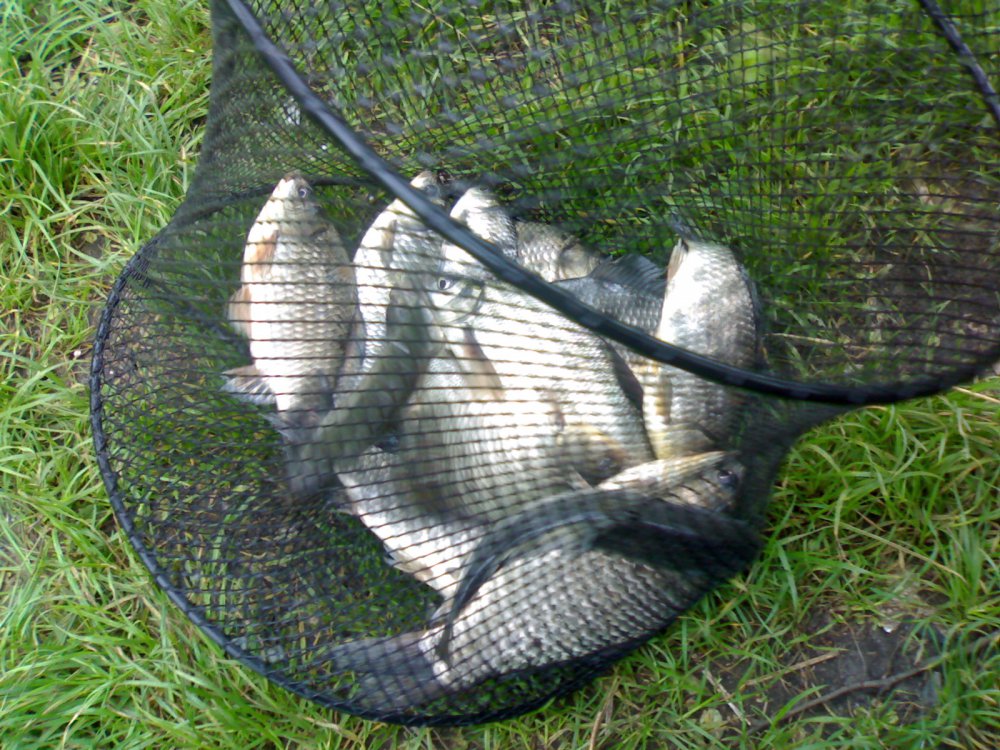080520111020.thumb.jpg.e8e8c0baa386f2f5816a59fbe847c9e7.jpg