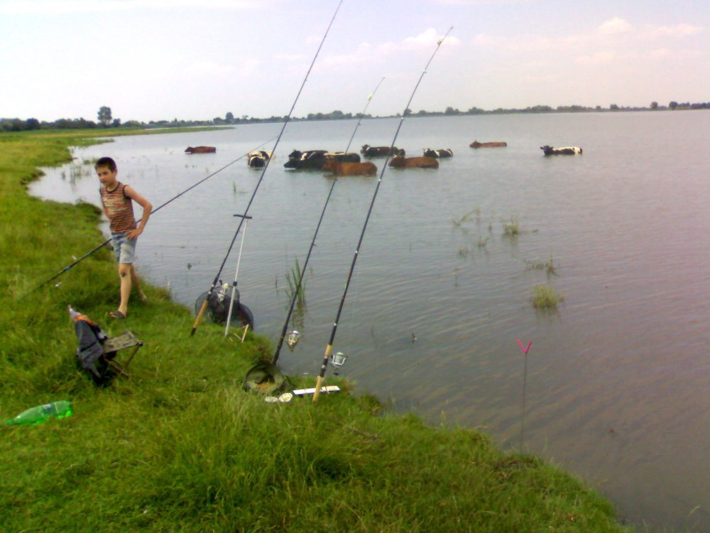 090720111075.thumb.jpg.9c1322fd624092cb56f29a3046675a58.jpg