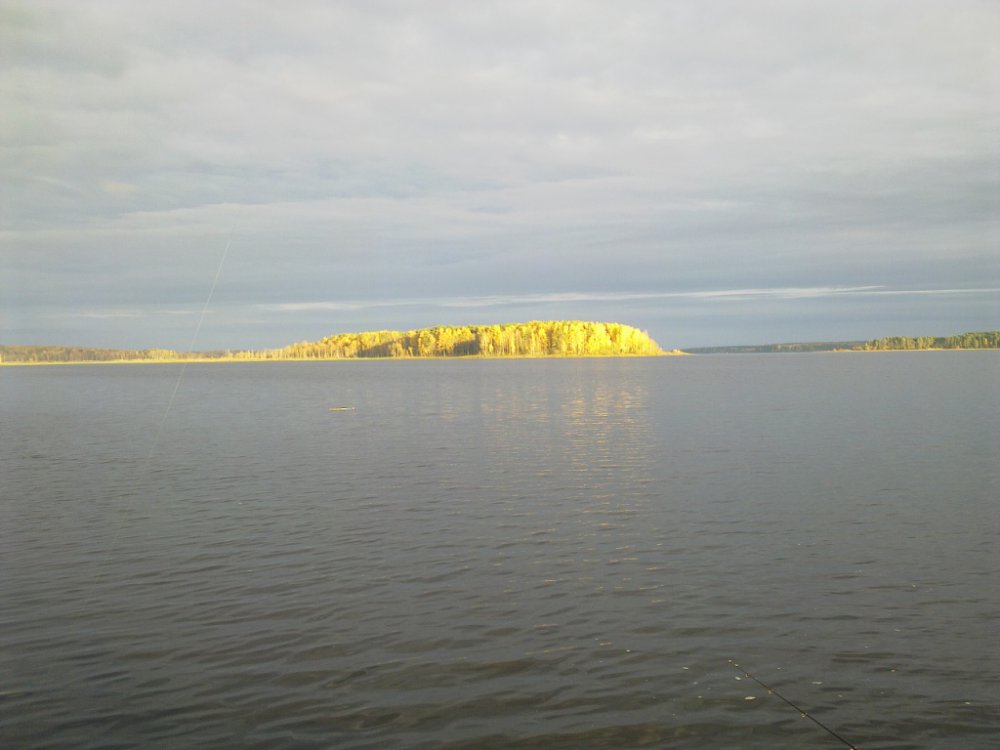 10102011030.thumb.jpg.95d44bfef8ab90686eb56b449a462d89.jpg