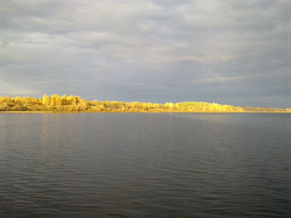 10102011031.thumb.jpg.72c2369a18826f7c4e4dcb3185f77c6c.jpg