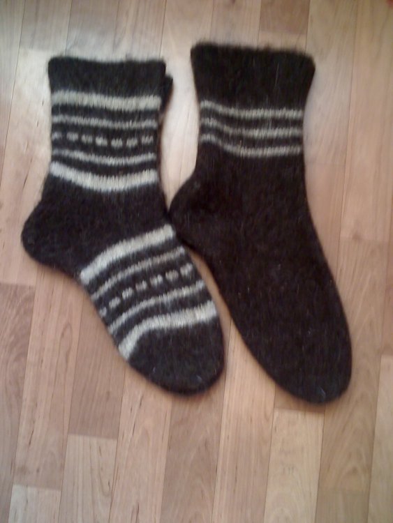 11-11-11_1616.thumb.jpg.9c752223ae12f1ac467bfc1076bc16d8.jpg
