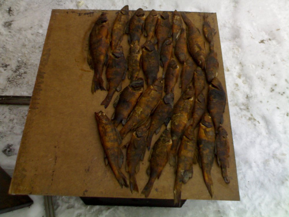 11012012750.thumb.jpg.ded661cd7bb3da246abdc2fd7a6ee8d6.jpg