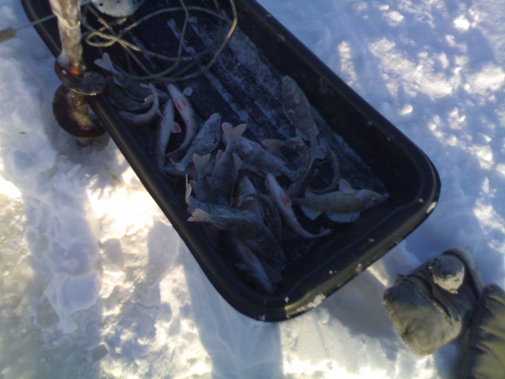 11022011645.thumb.jpg.c633c540c74b8045912744c503696e68.jpg