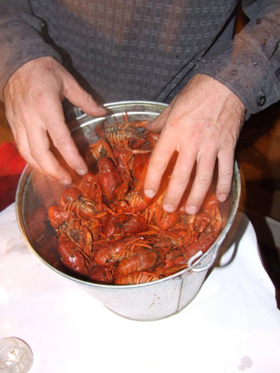 1111016067_049.thumb.jpg.abf77928a80e2c64102e098b01e0b9af.jpg