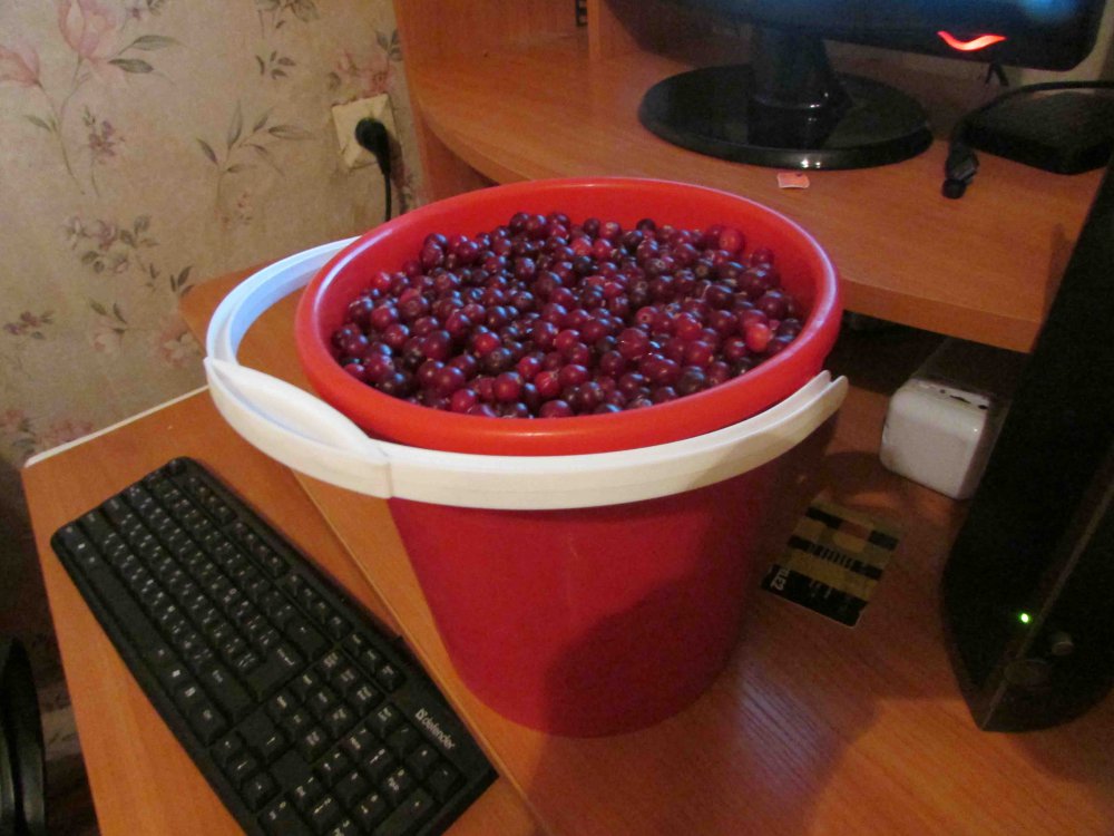 1340928480_.thumb.jpg.cd24c1de9b359df85a58735292efad50.jpg
