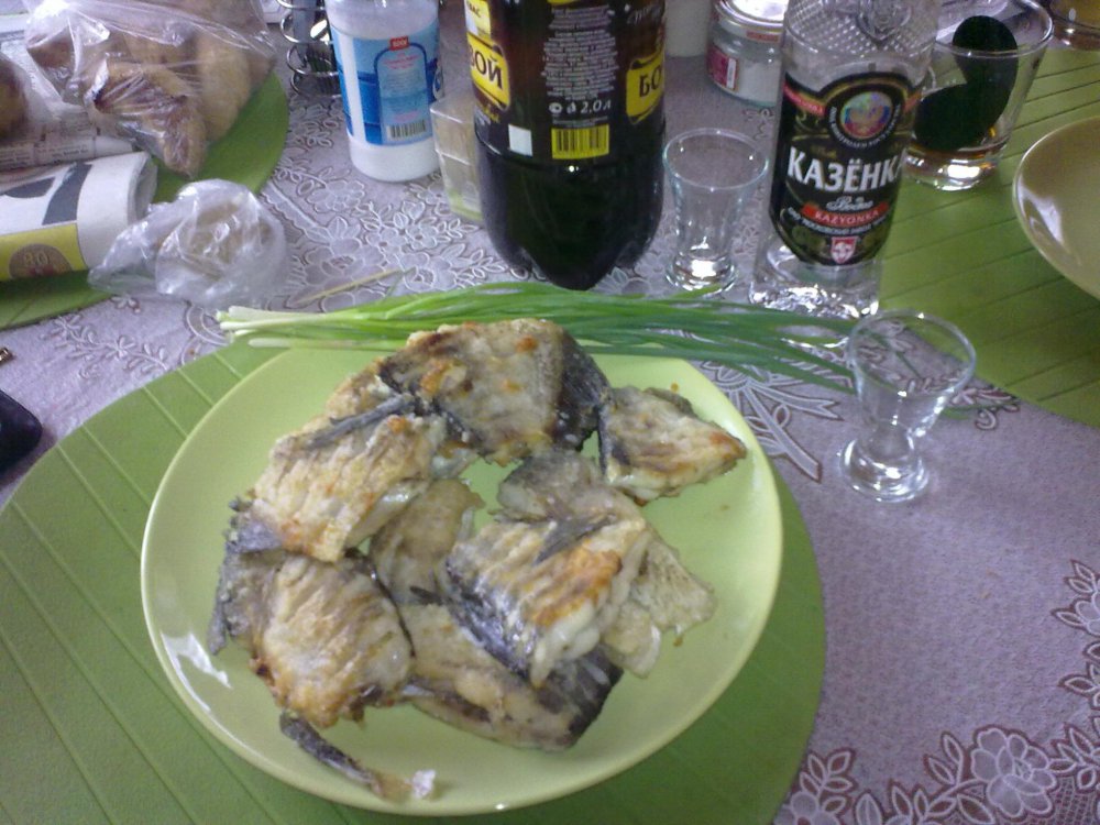 15052010270.thumb.jpg.7d8ae2c9f12b0ca5ef2674a30e8be864.jpg