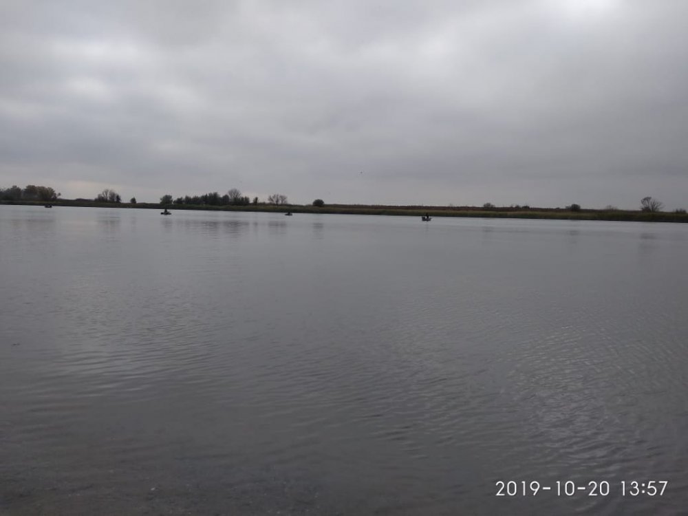 15228a8f-08e4-4494-a8b7-bb5341ebf988.thumb.jpg.2e8ad44bd9cd9576d6a0ed0a00d616cd.jpg