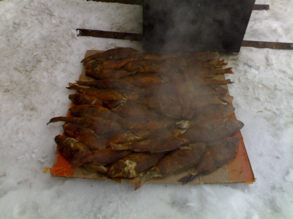 16012011642.thumb.jpg.e941321bd49be827426a7e6d9e9d47de.jpg