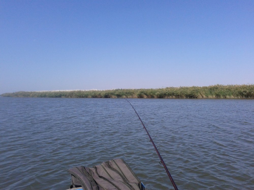 186021696_-0211.thumb.jpg.591cb65d6b525aea3ec1930c99af54b6.jpg