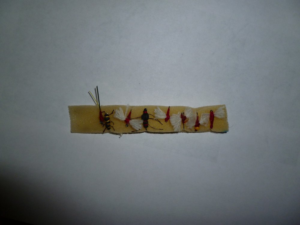 2.thumb.jpg.8bfa193119cfcdc21abc19e49418b500.jpg