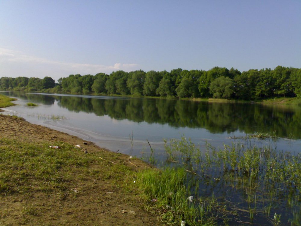 22052010529.thumb.jpg.7350617bd954c15e85af61f509354222.jpg