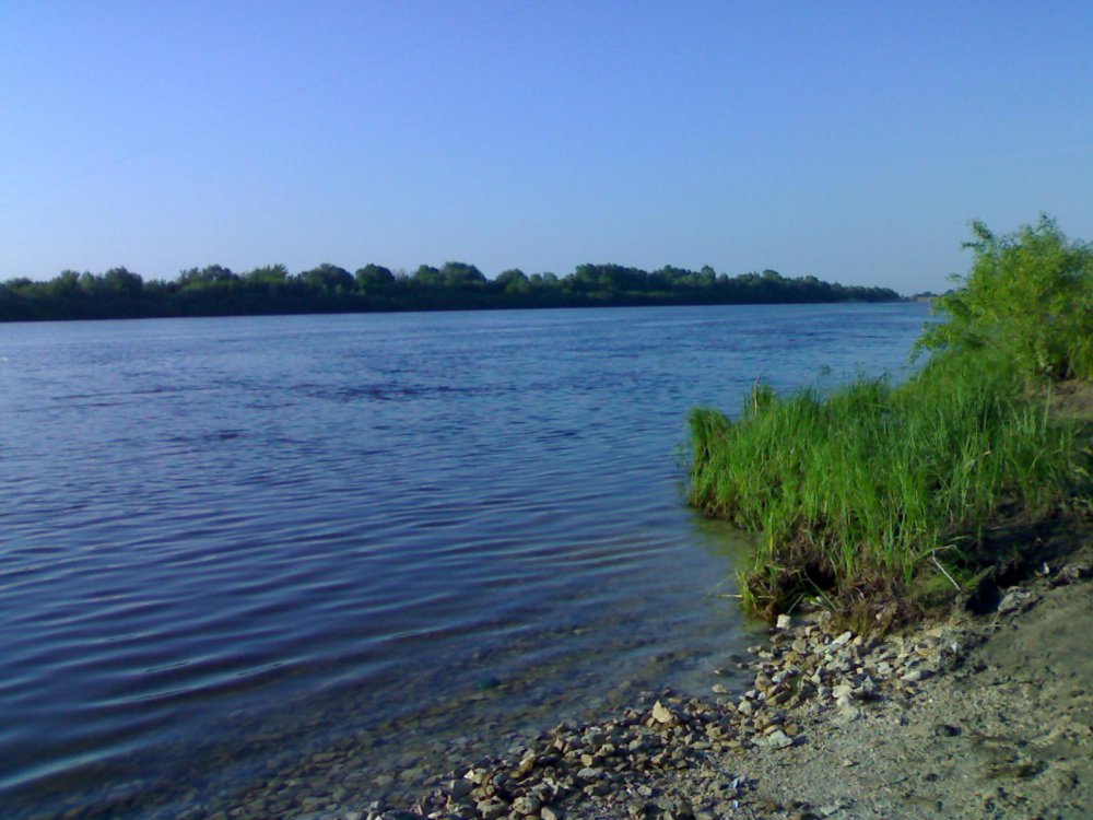 23052010375.thumb.jpg.1bc876526ef85694366eb43ae39f5c6a.jpg