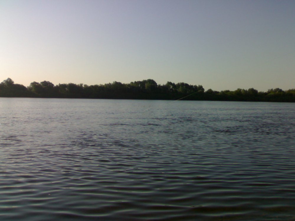 23052010376.thumb.jpg.38e5a9dd32434a779444818caa46d1e4.jpg