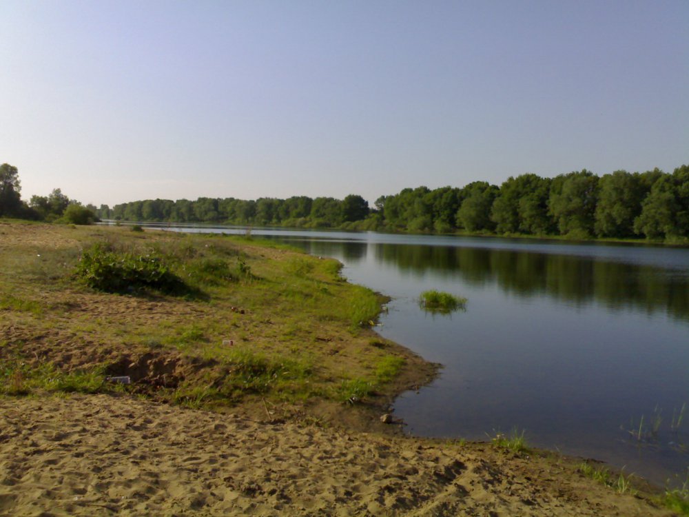 23052010530.thumb.jpg.5b66c4327ac721d21928991bcc236484.jpg