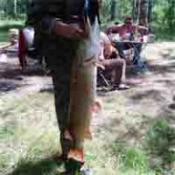 barichev