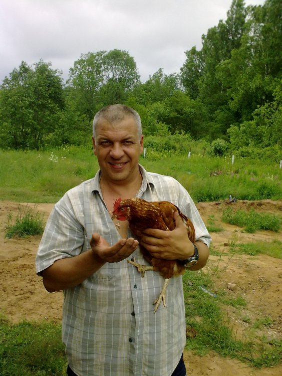 27062011614.thumb.jpg.8e4bd835050911ac5e3d8e06d81debcc.jpg
