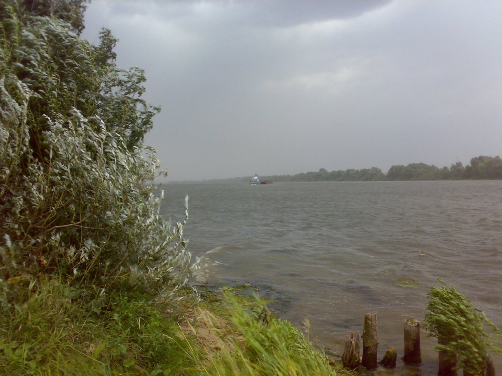 28072011129.thumb.jpg.52ce6725b04c41557851510e4e6390ff.jpg