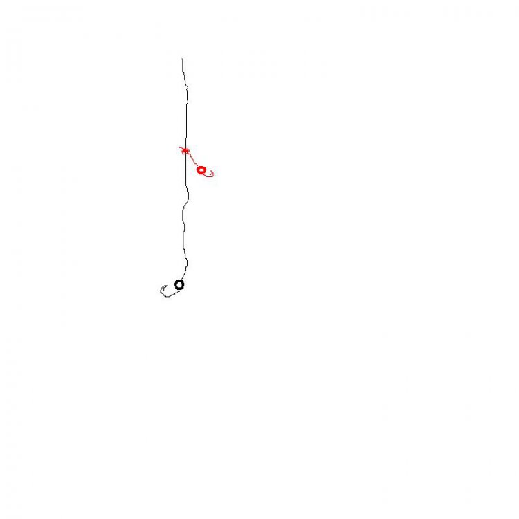 304068030__33.thumb.JPG.7a8a0ab273671b1a8bf61f7bee010797.JPG