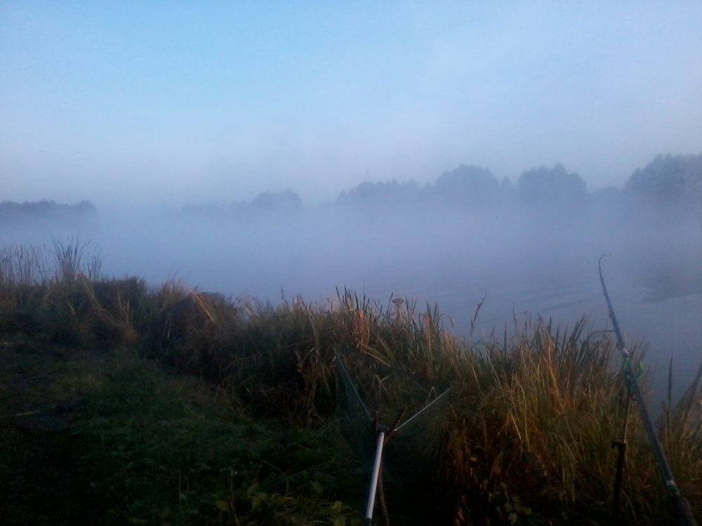 416735643_2014-09-2607_50_06.thumb.jpg.5ba0ae62e1e0803b9acb7b6b6967ac06.jpg