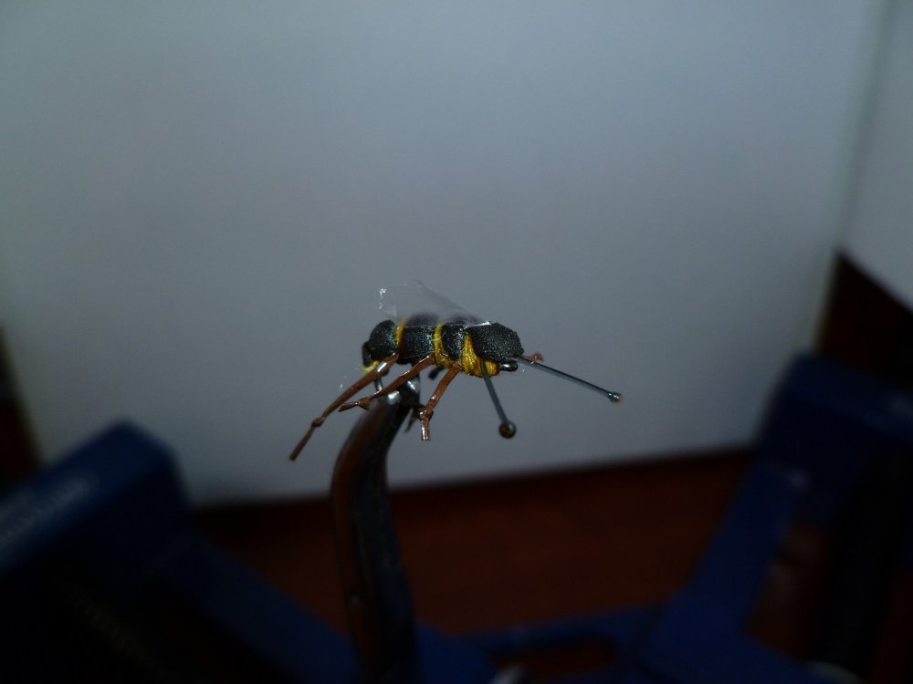 45.thumb.jpg.d27e117492f56bf699fc56601072ed40.jpg