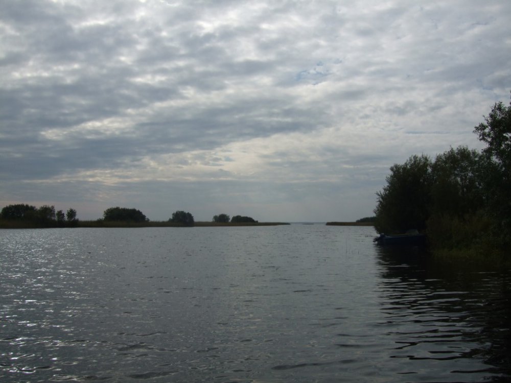 456080822_018.thumb.jpg.5adfc5d7f38b75897482a19298e3cded.jpg