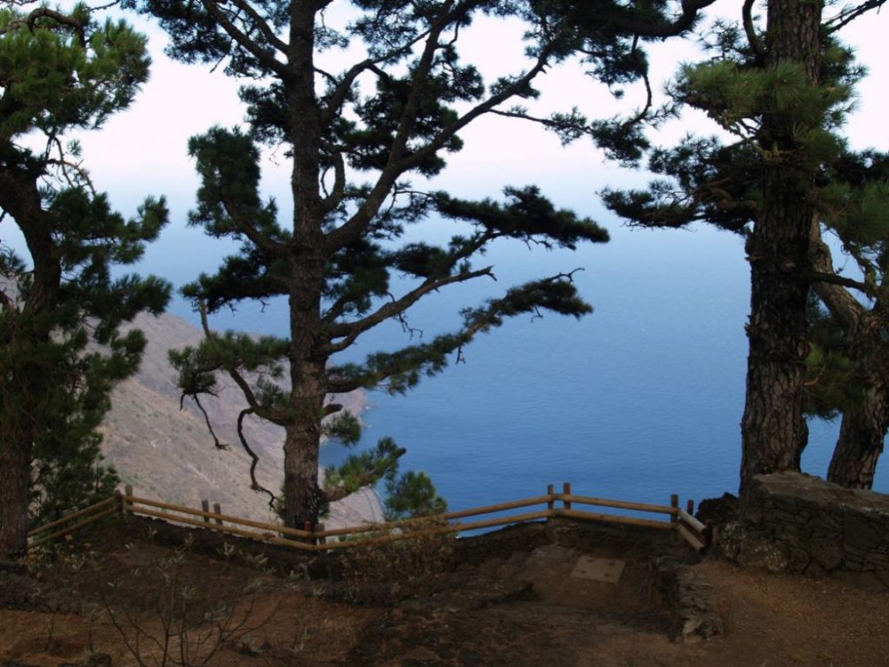 596487433_ElHierro9.09103.thumb.jpg.8eb4ccf394808e4dd534dd8a6de90923.jpg