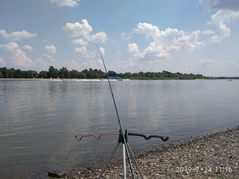 794f2504-c960-4c63-8c5c-1b66a7b10d7d.thumb.jpg.a4fb141fb3aff1eead5dfbde06753a82.jpg