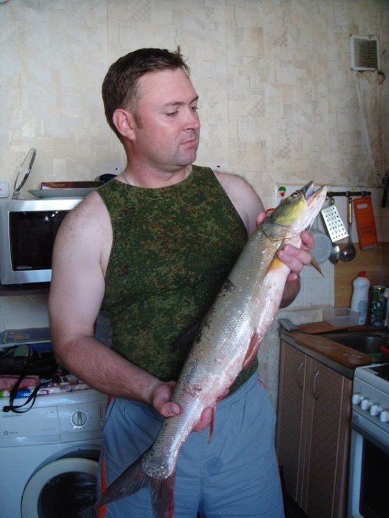 7_07_11.thumb.JPG.e1c9aa09c334daf6480209d0d7f95f03.JPG
