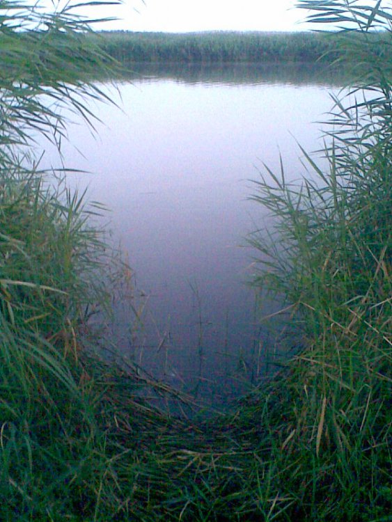864064803_003.thumb.jpg.6c1c80248f12ec8f1180afe3e76af6a5.jpg