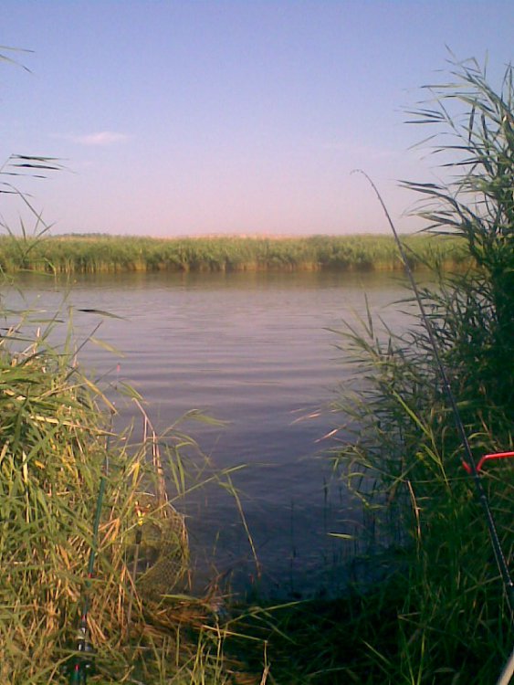 915355262_004.thumb.jpg.f306a43e0ca6b13ccd821f2637d736e0.jpg