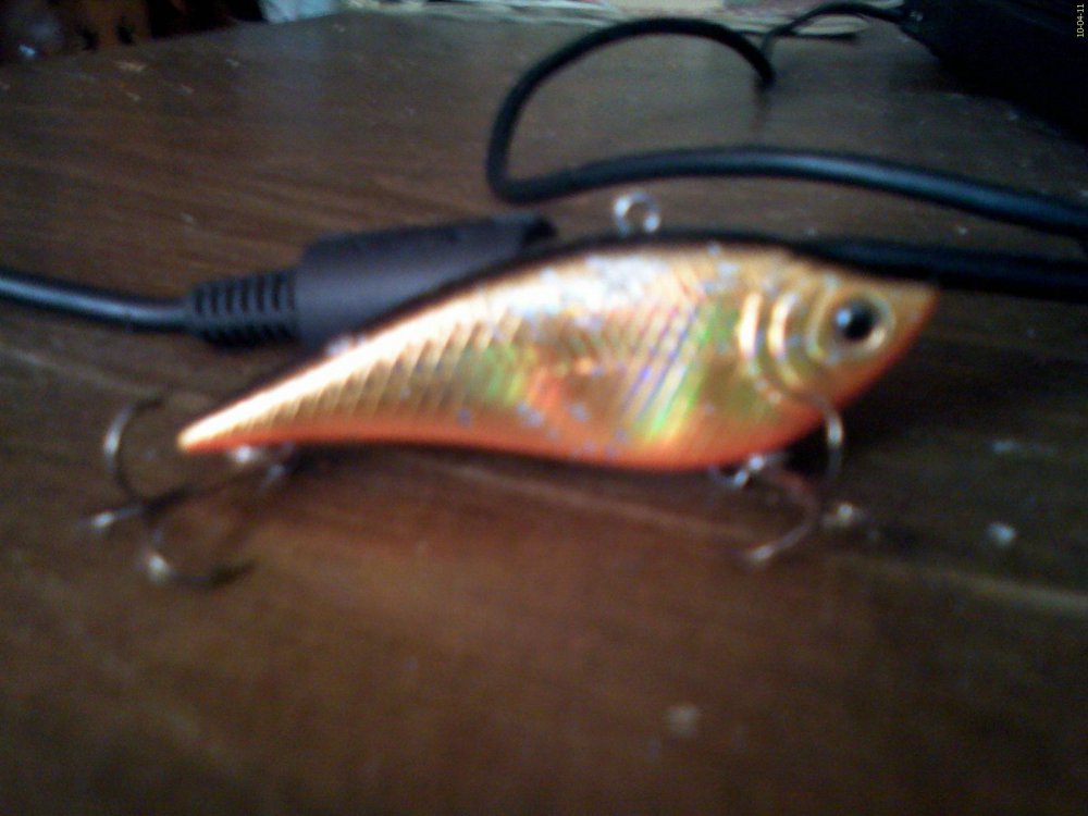 DC100411001.thumb.jpg.96401a874e07b35a951cb25ed16fedc5.jpg
