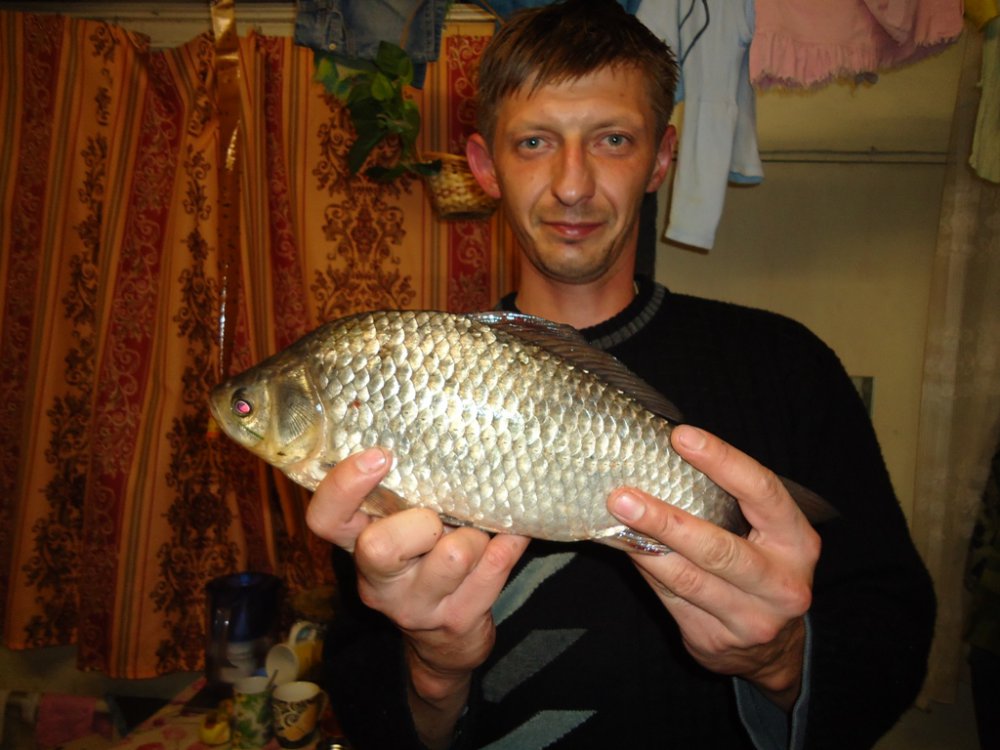 DSC01203.thumb.JPG.1307bd44bbc21d96df8d0c6029ddf54c.JPG