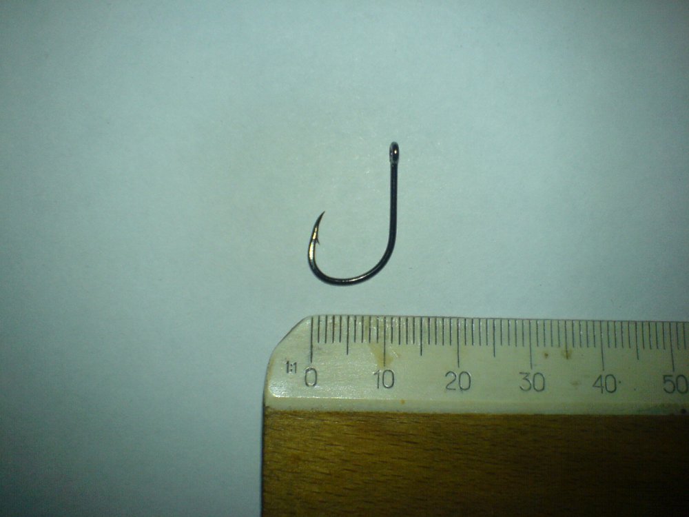 DSC01366.thumb.JPG.9a1da0aeb798740da457dbb6e226c524.JPG