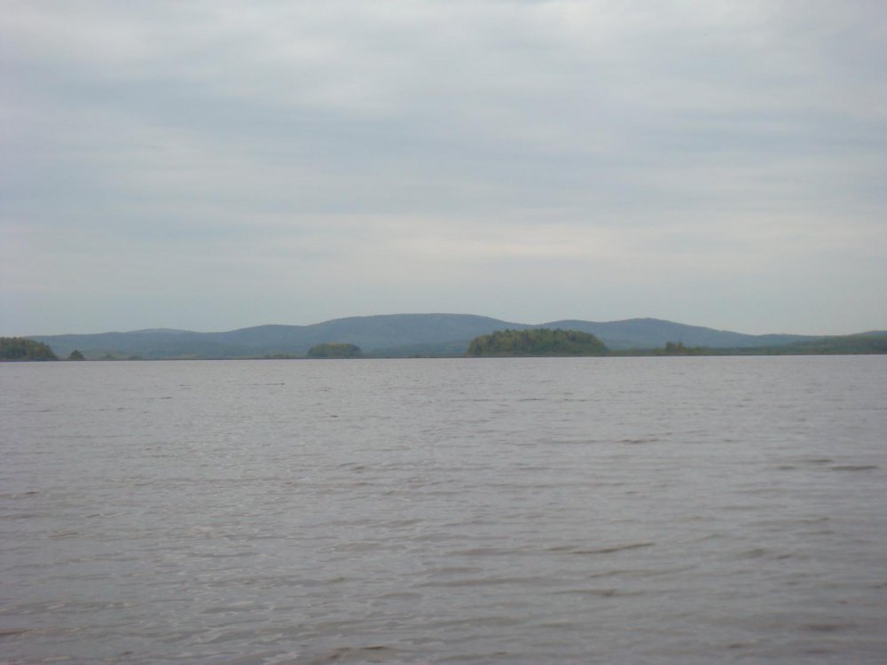DSC01992.thumb.jpg.f9f56bc2f209c9e86d475a0e234ad9ed.jpg