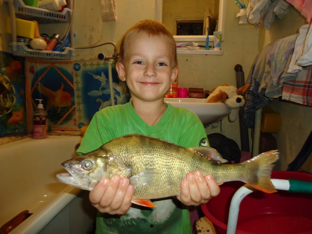DSC03378.thumb.JPG.3f9387cc5d0cdc22e6bbafc43b674953.JPG
