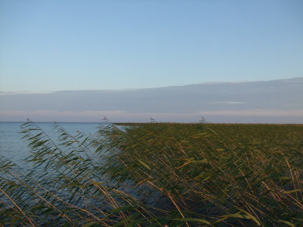 DSCF2291.thumb.jpg.26f3a1aac5db5590dba3b94753bf2efa.jpg