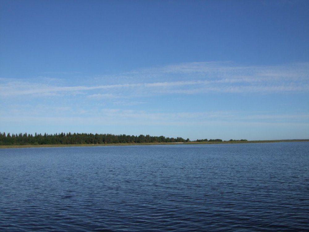 DSCF2314.thumb.jpg.d61b9337c5be85b9074610c864beda8c.jpg