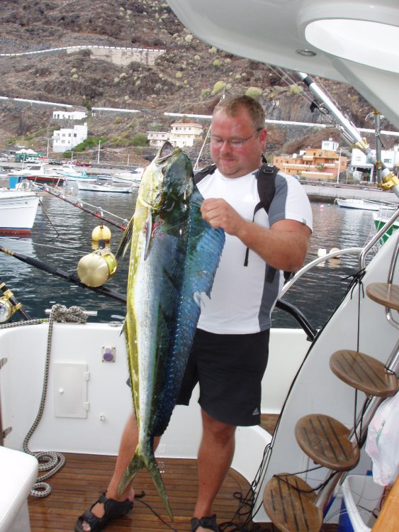 Dorado.thumb.JPG.1d081afcf1e9f747770fa257fa740f28.JPG