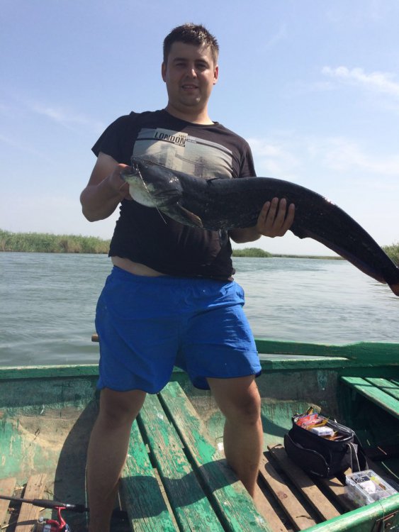 IMG-20160804-WA0002.thumb.jpg.eef6ad4a6b606bf467cb5dd4687740f2.jpg