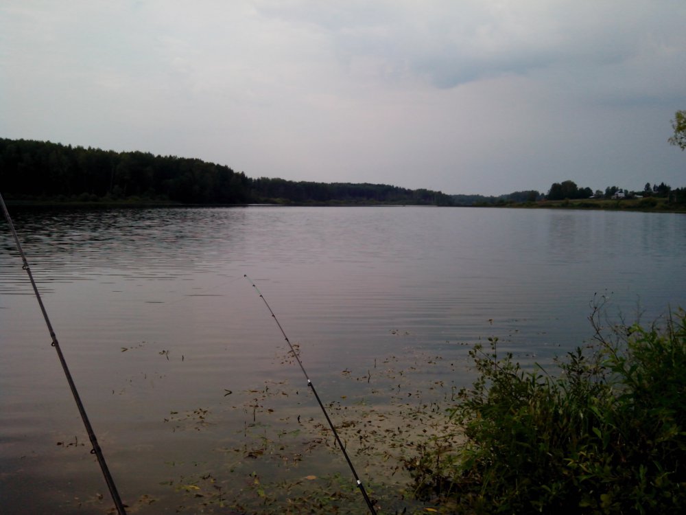 IMG_20140802_092255.thumb.jpg.229448c6cb383a0c6e14a66c3d780656.jpg