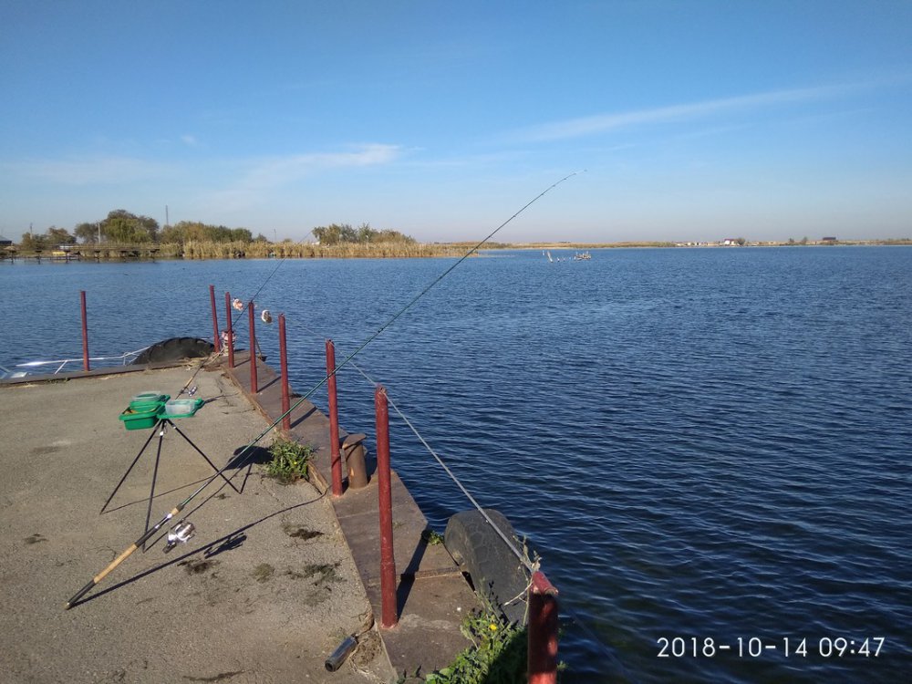 IMG_20181014_094728.thumb.jpg.43ca3fb3991f77d47adbe8cbb232cc3c.jpg
