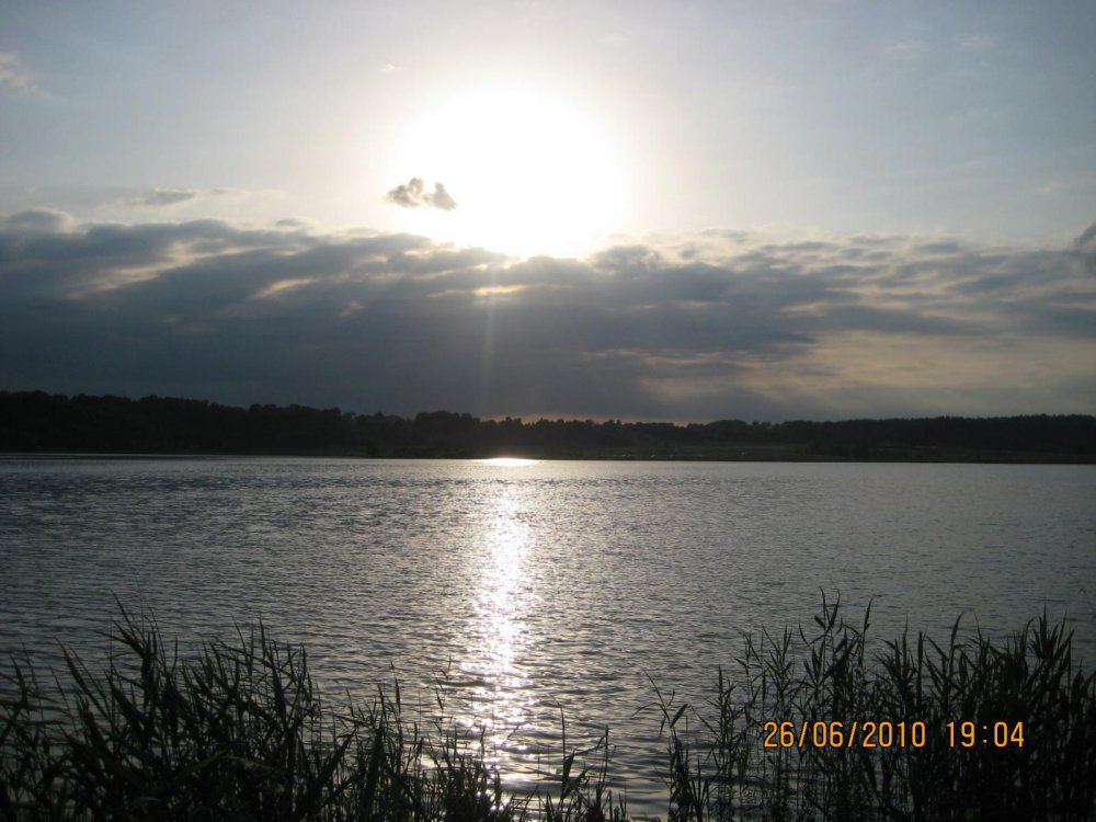 IMG_4991.thumb.jpg.106705f28a06bf82c1babc8f7e7ab1c8.jpg