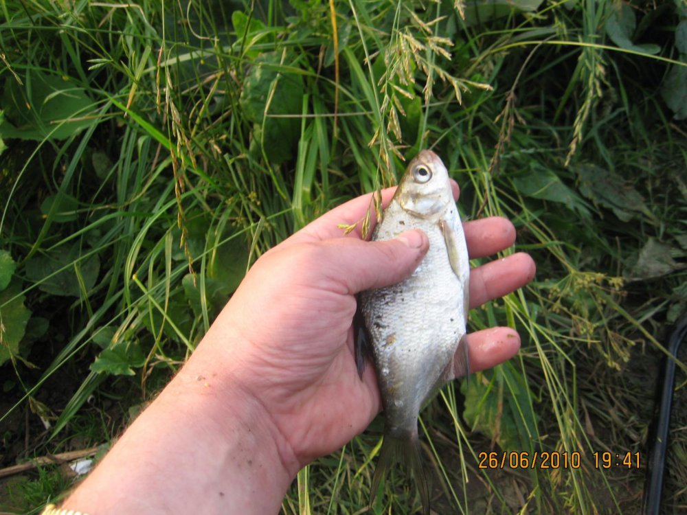 IMG_5000.thumb.jpg.1112cdb3af6df60e8f14b750c4dfab39.jpg