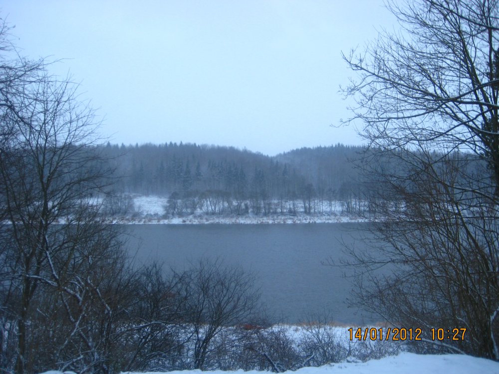 IMG_8834.thumb.JPG.32d98c3c9cdd7748e885bcc7d2480f9b.JPG